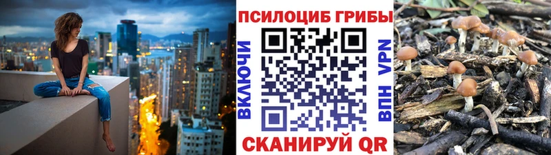 Псилоцибиновые грибы мицелий Лахденпохья